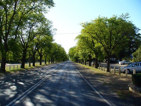 Avenue of Honour