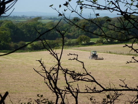 Between Tremayne and Crowan