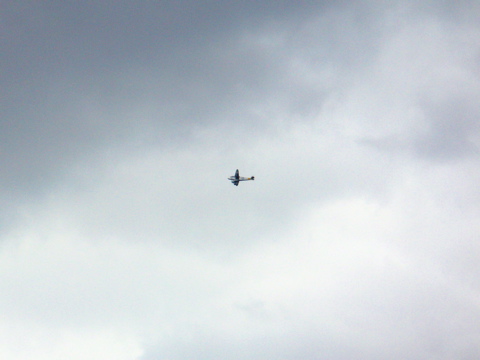 rp_dragon-rapide-1.jpg