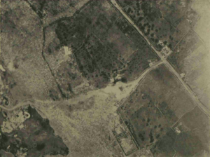 Illustrated London News, 31 August 1912, 20