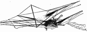 Daily Telegraph (Sydney), 2 October 1894, 3