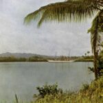 A peaceful riverside scene with a palm tree in the foreground and a steamship on the river.
